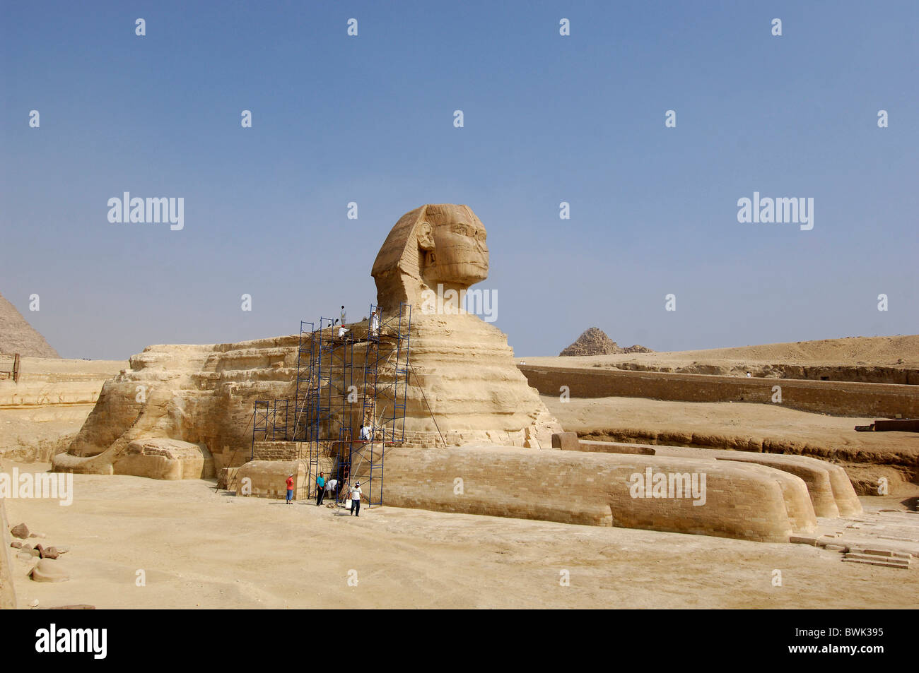sphinx person scaffolding pyramids Gizeh Cairo Egypt North Africa Stock ...