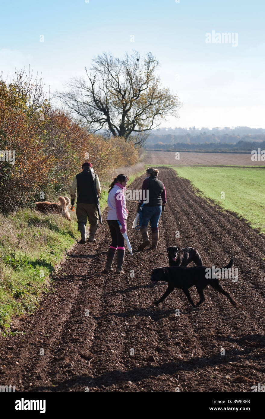People walking with their dogs in the Cambridgeshire countryside, UK Stock Photo