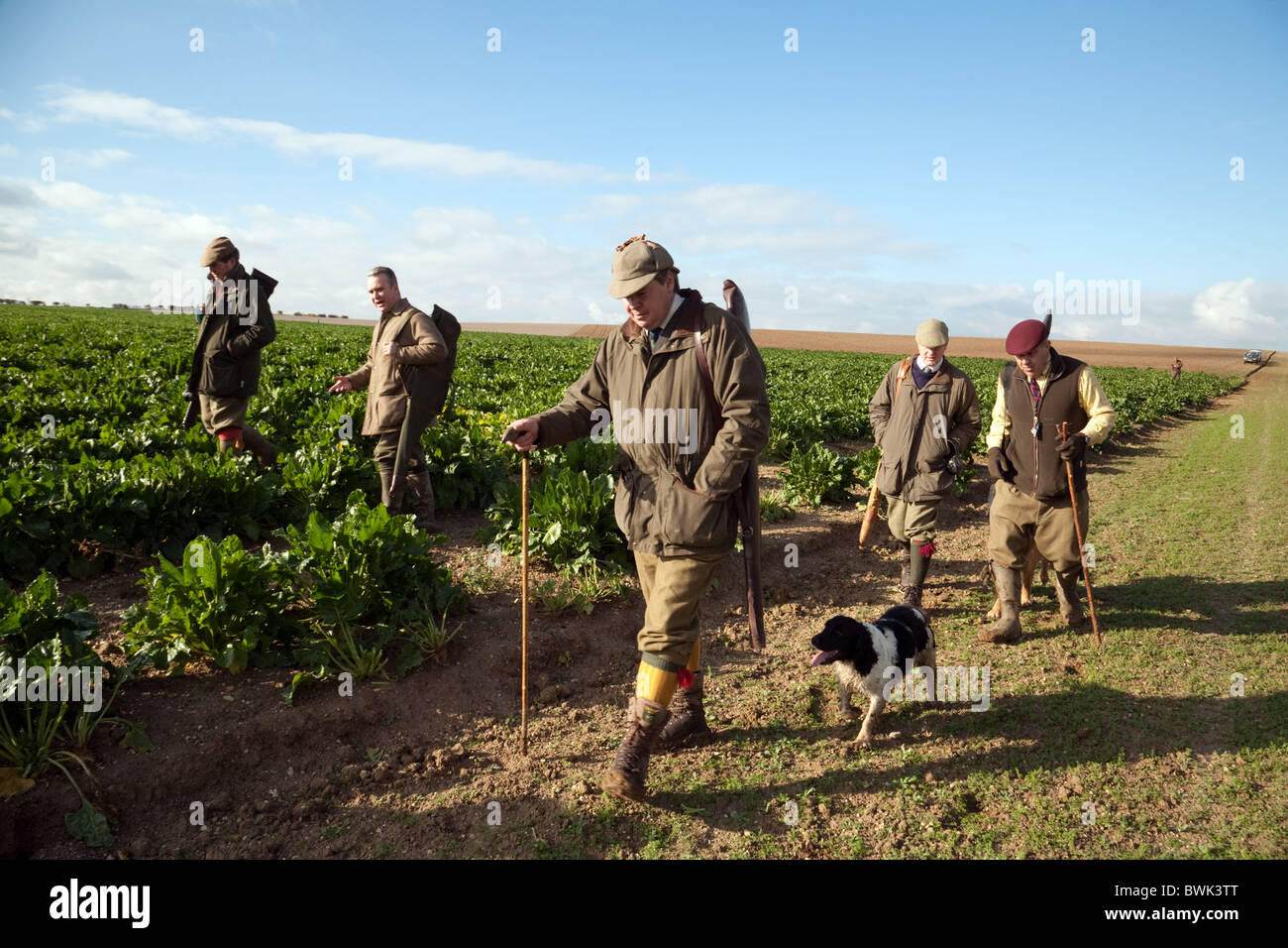 Shooters (guns) and their dogs on a game bird shoot, Cambridgeshire, UK Stock Photo