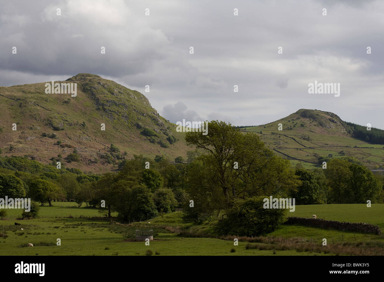 A view of Eskdale near Muncaster Fell Eskdale Lake District Cumbria England Stock Photo