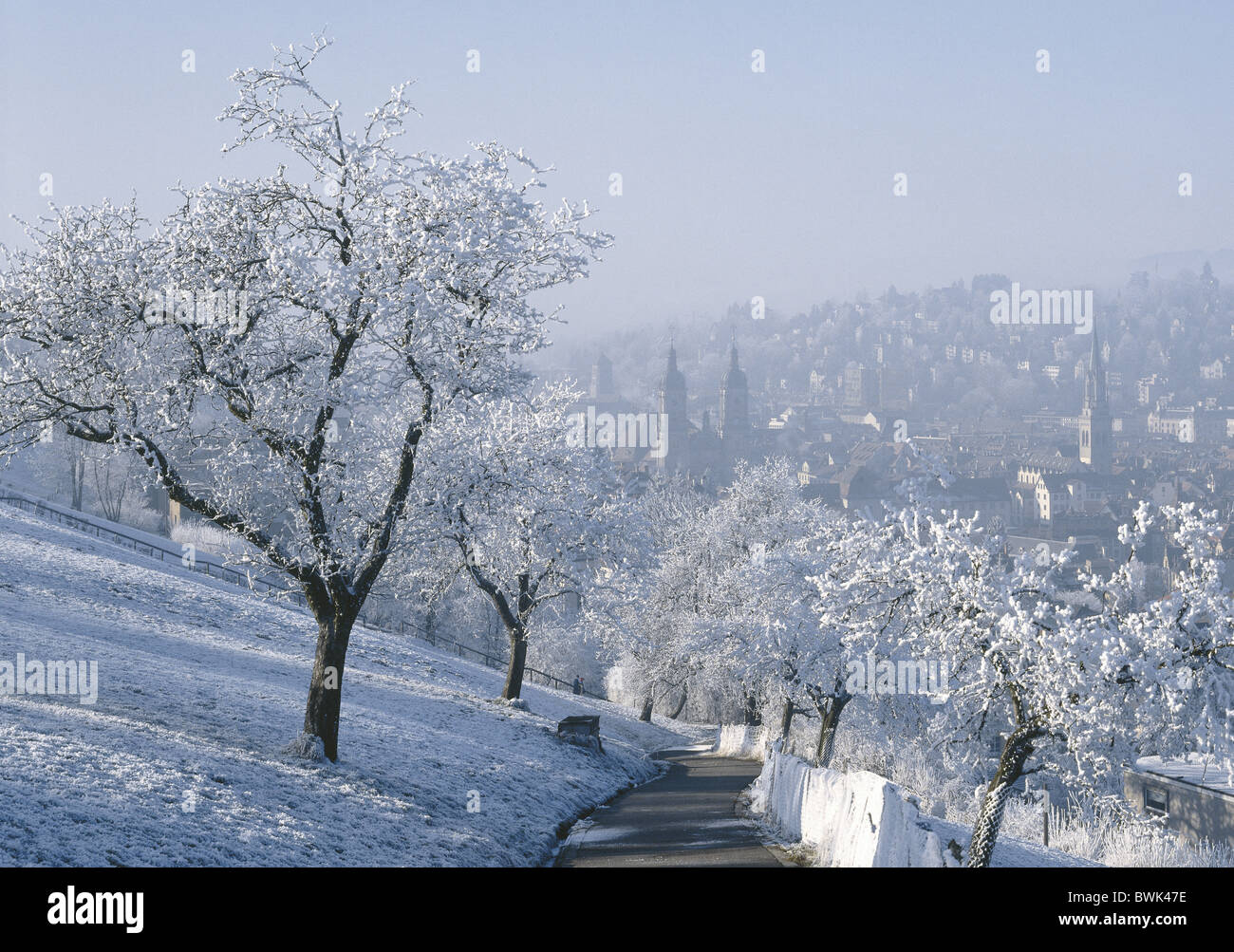 Town City St Gallen Winter Overview Old Town Snow Way Trees Switzerland Europe Stock Photo Alamy