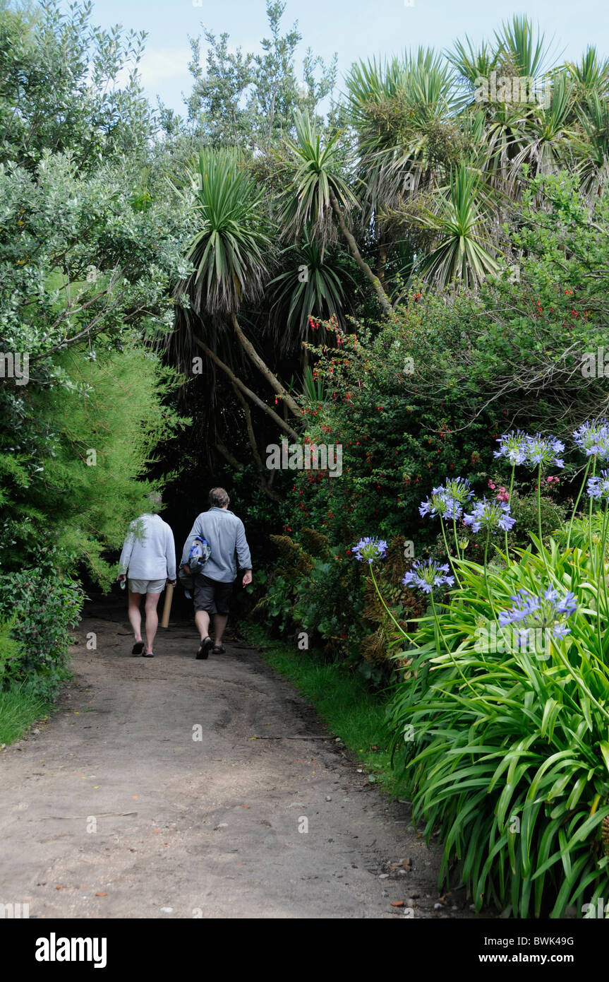 A couple walk among the palm trees on Bryther island, Isles of Scilly