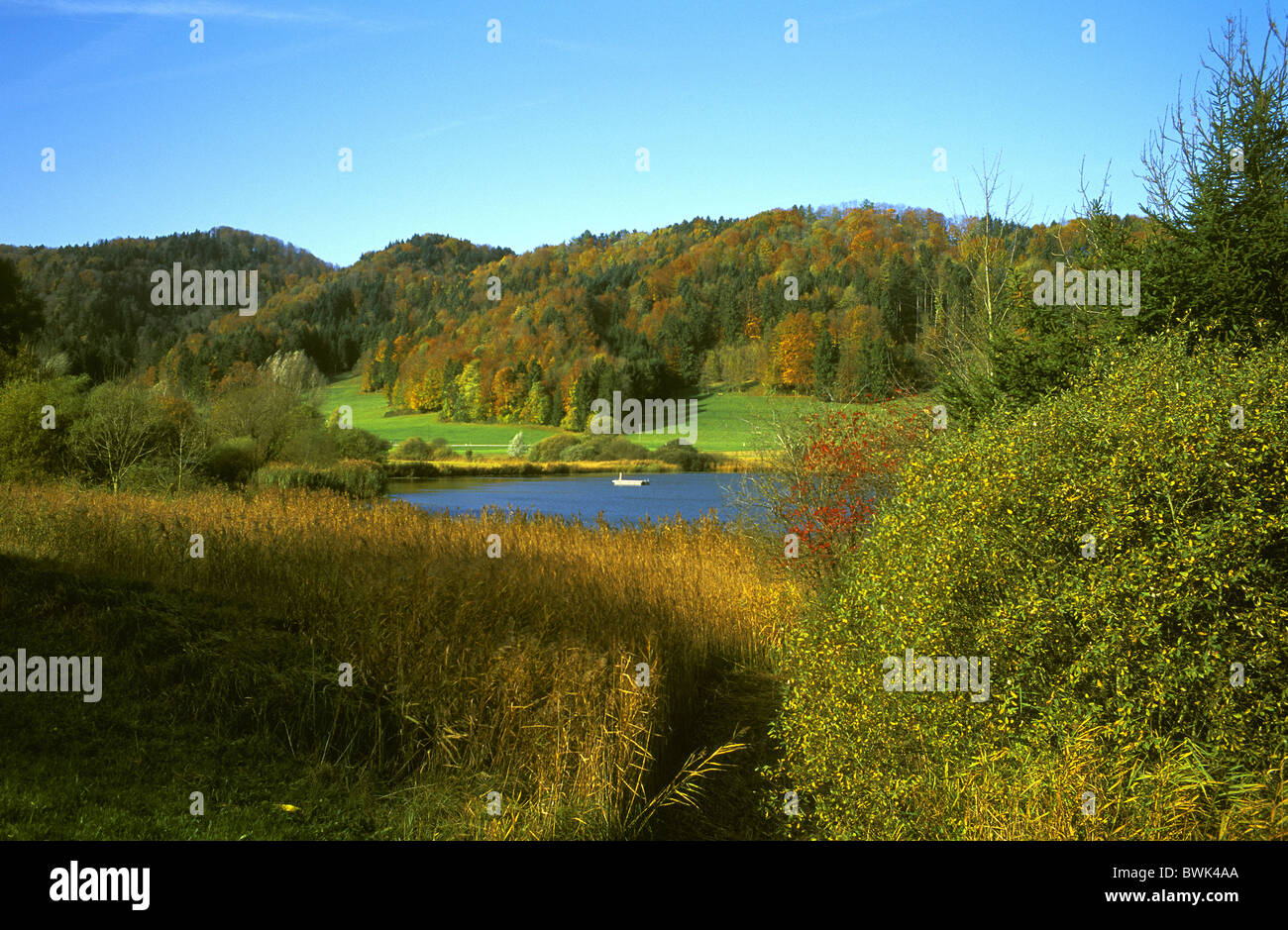Switzerland Europe Canton Thurgau Bichelsee lake bathing lake autumn scenery landscape hill wood forest Stock Photo