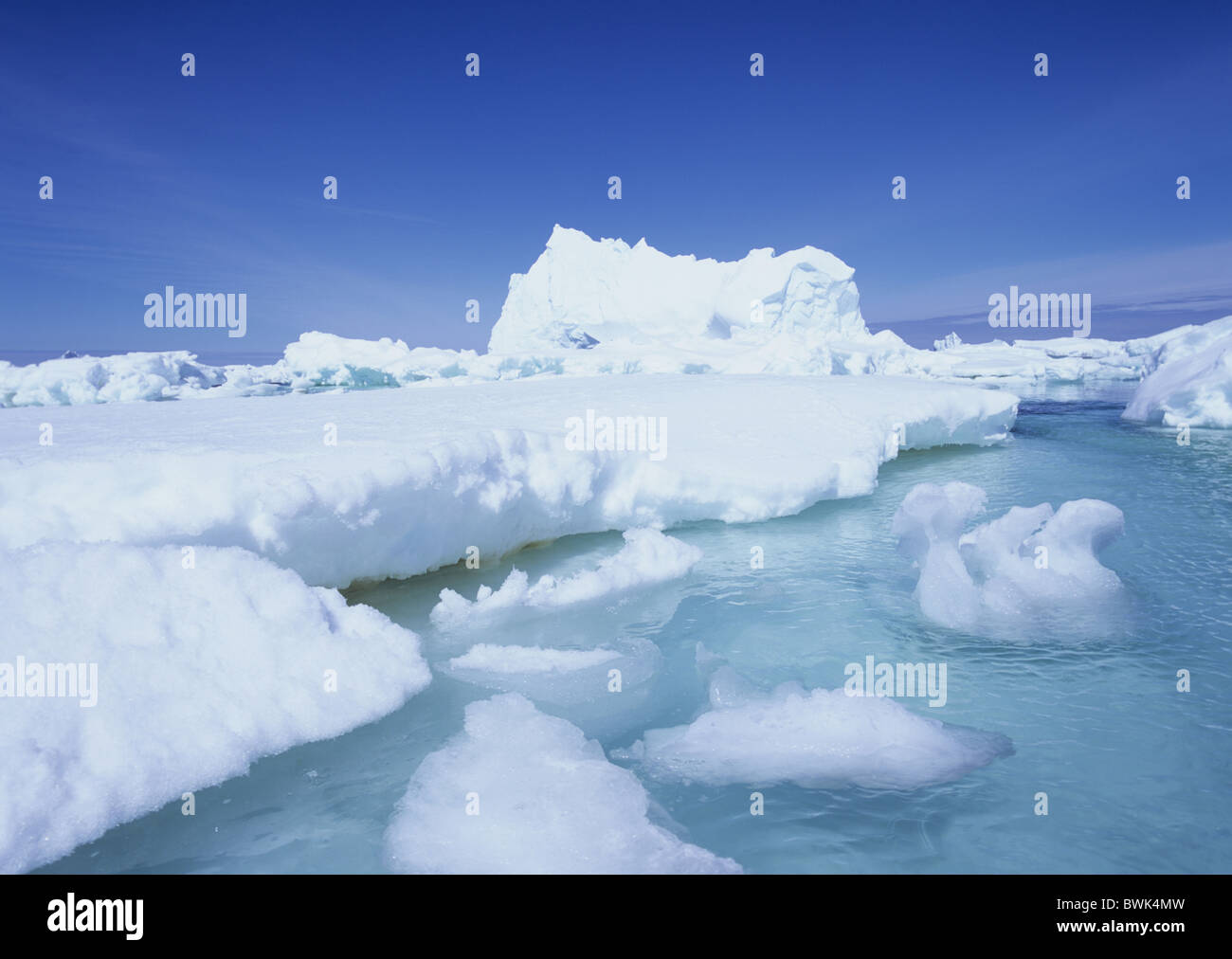 Antarctic Antarctic Antarctic Ocean cruise ice scenery scenery ...