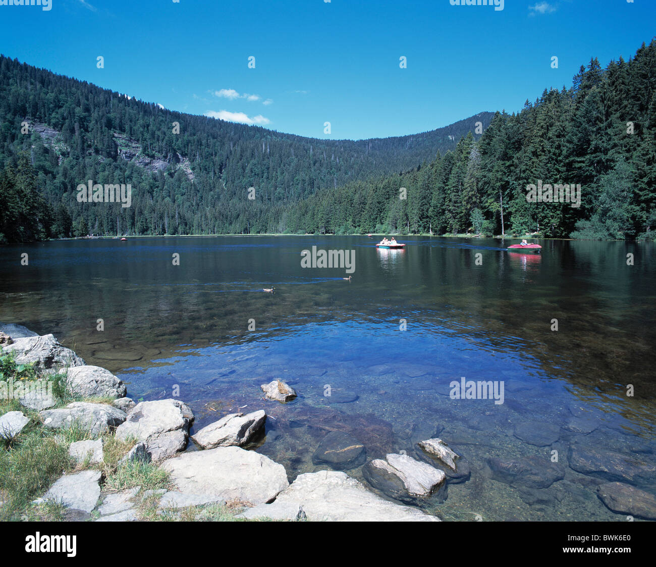 Forest forest scenery forest lake Grosser Arber see Bayrisch Eisenstein lake boats nature reserve Bavarian Fo Stock Photo