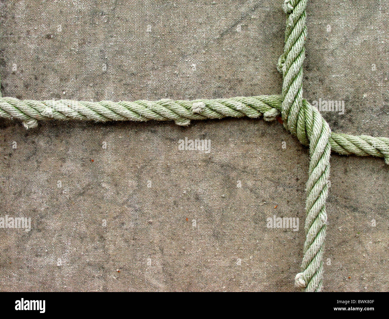 10827994 hi-res stock photography and images - Alamy