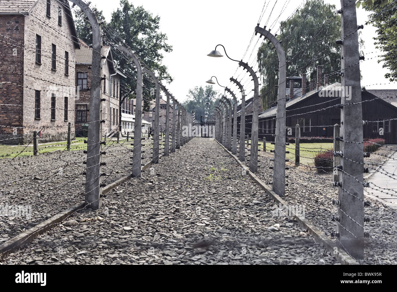 Electrified barbed wire ring surrounding the Auschwitz Concentration Camp, Oswiecim, Poland, Europe Stock Photo