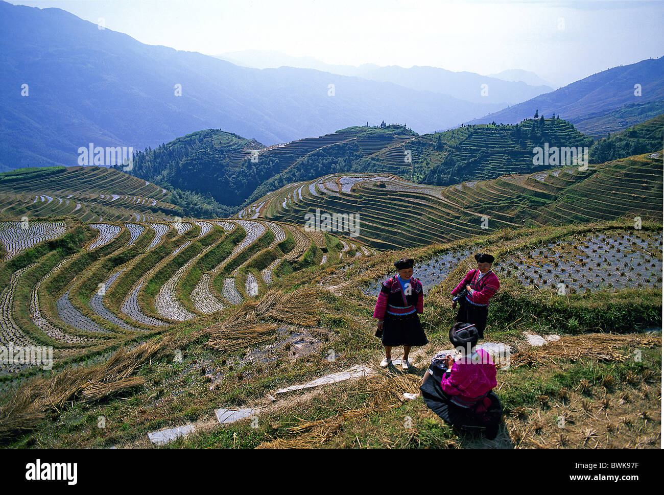 Dragon back hi-res stock photography and images - Alamy