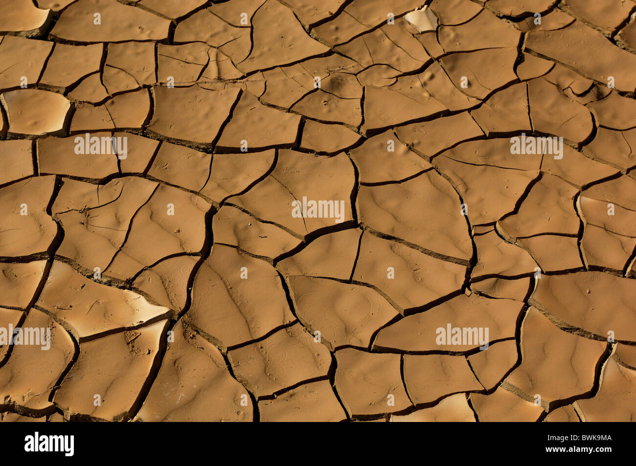 loam ground bottom mucky ground Parched Drily tears fissures gaps dryness Oman Arabian peninsula East Ara Stock Photo
