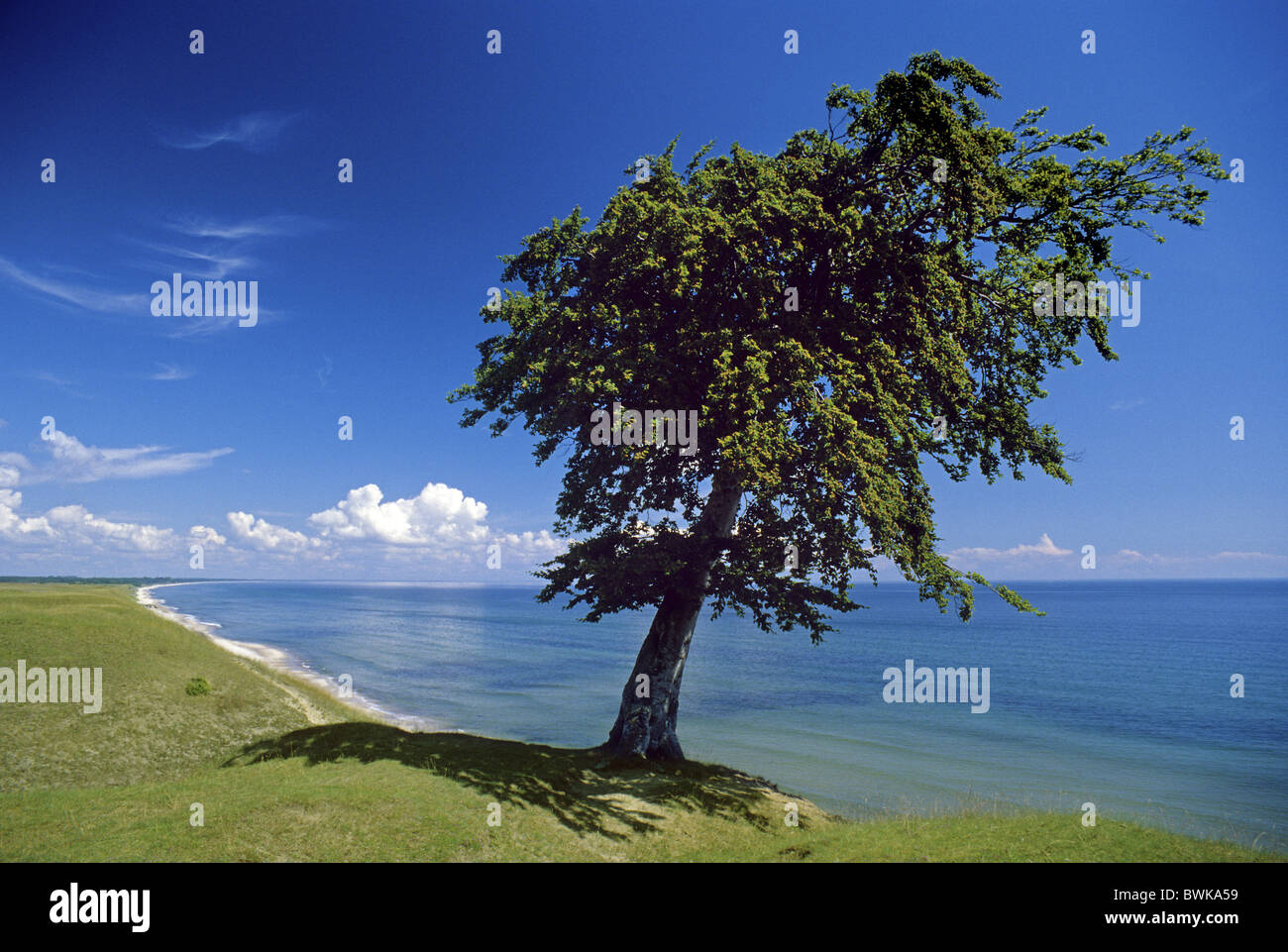 Kivik scania sweden hi-res stock photography and images - Alamy