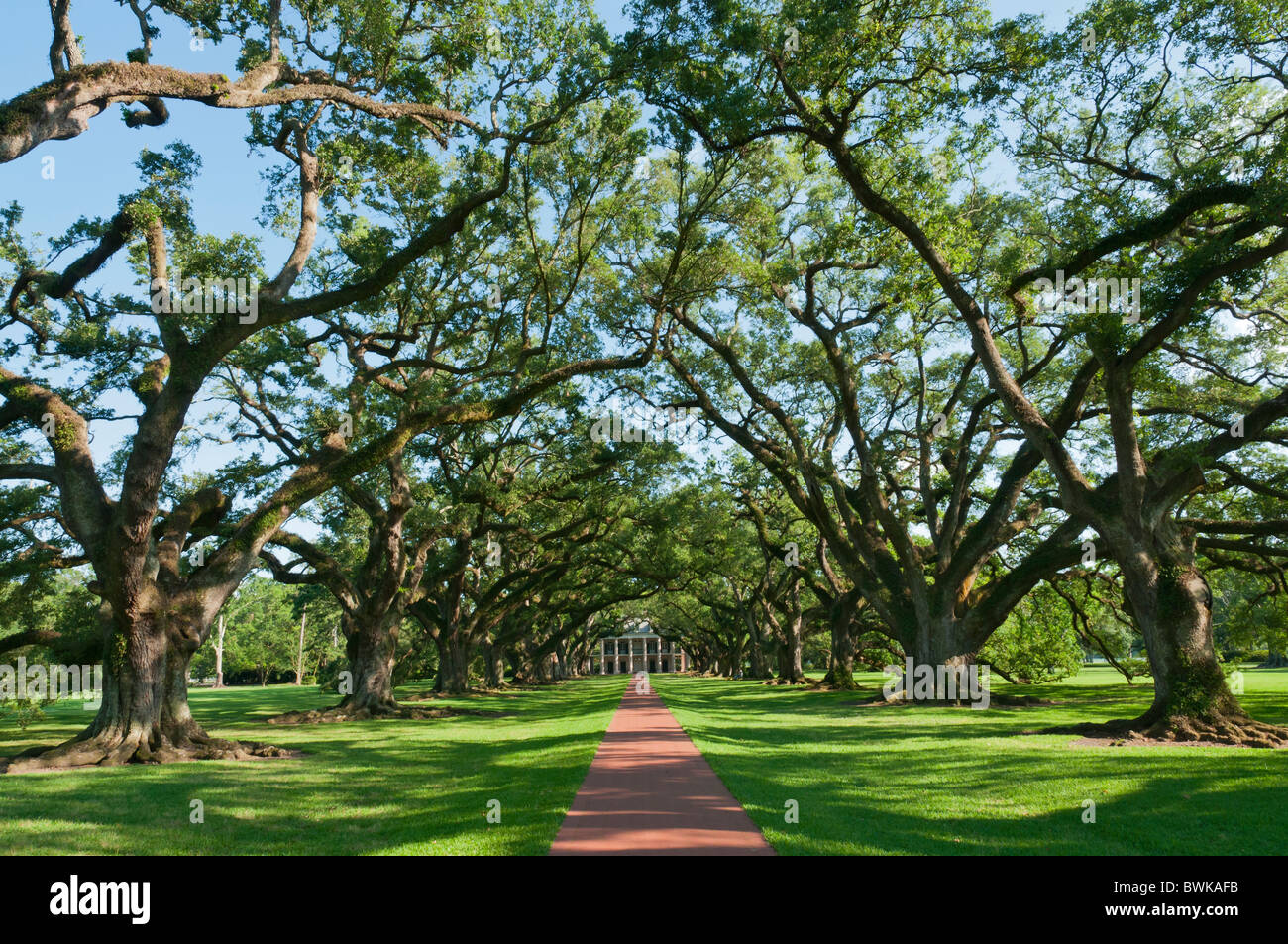Louisiana, Vacherie, Oak Alley Plantation, main house completed 1841