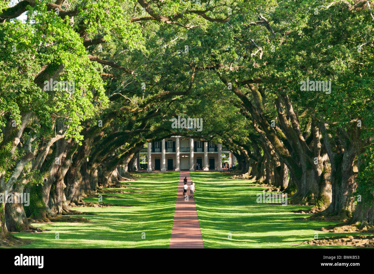 Louisiana, Vacherie, Oak Alley Plantation, main house completed 1841