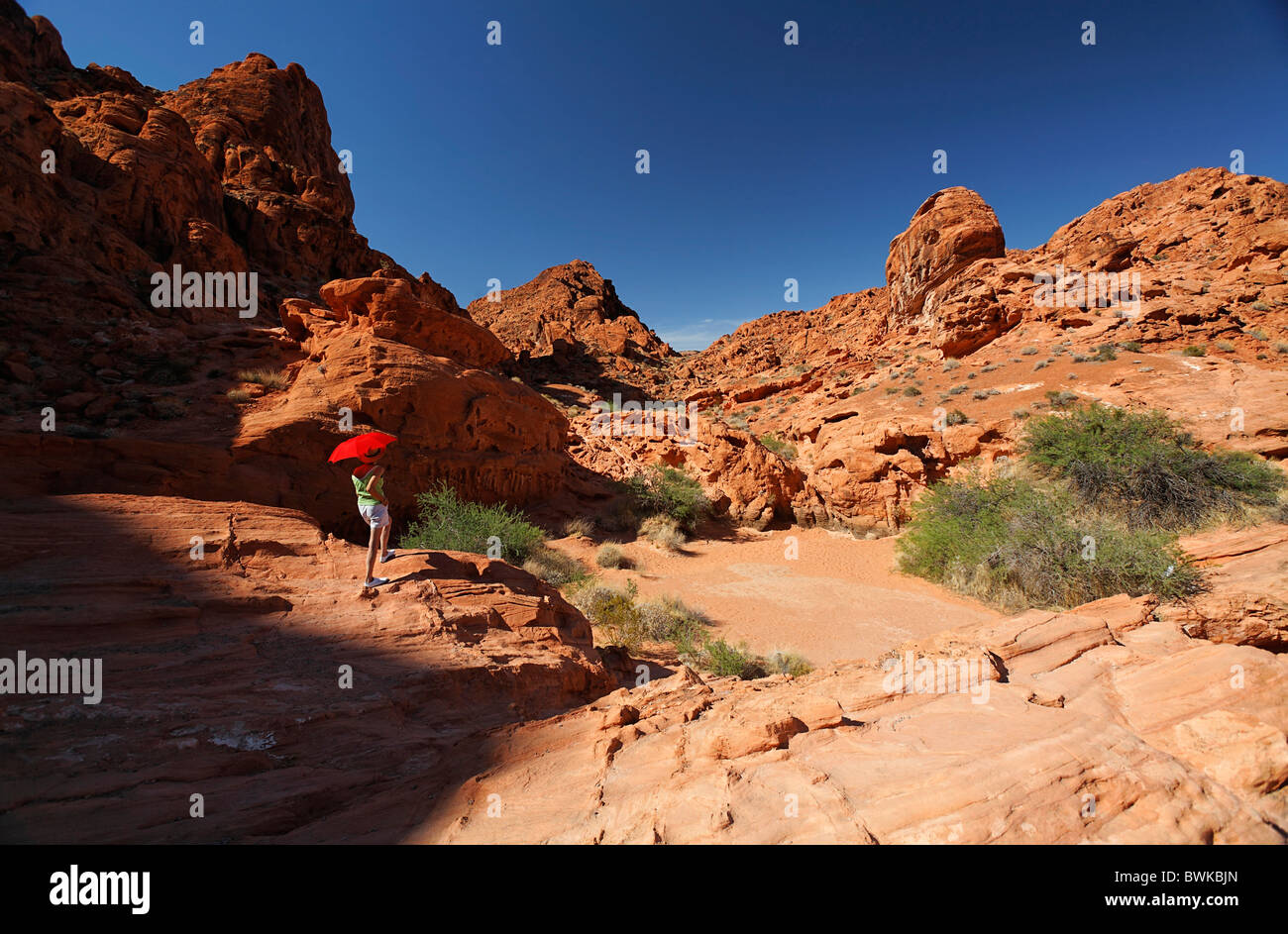 USA America North America Nevada Valley of Fire State park scenery rock cliff desert woman sunshade screen Stock Photo