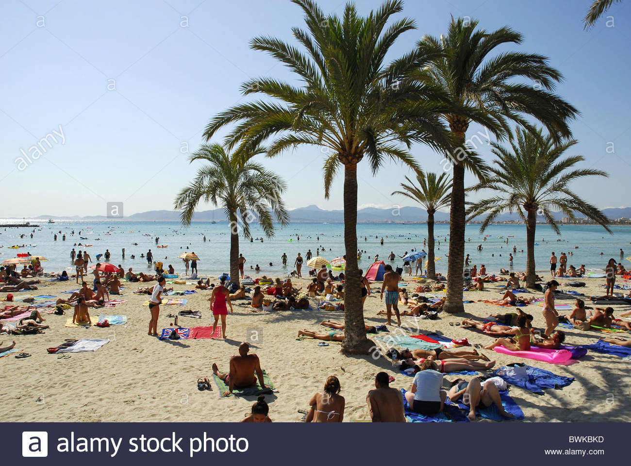 Holidays At The Platja De Arenal Long Beach With Palm Trees A