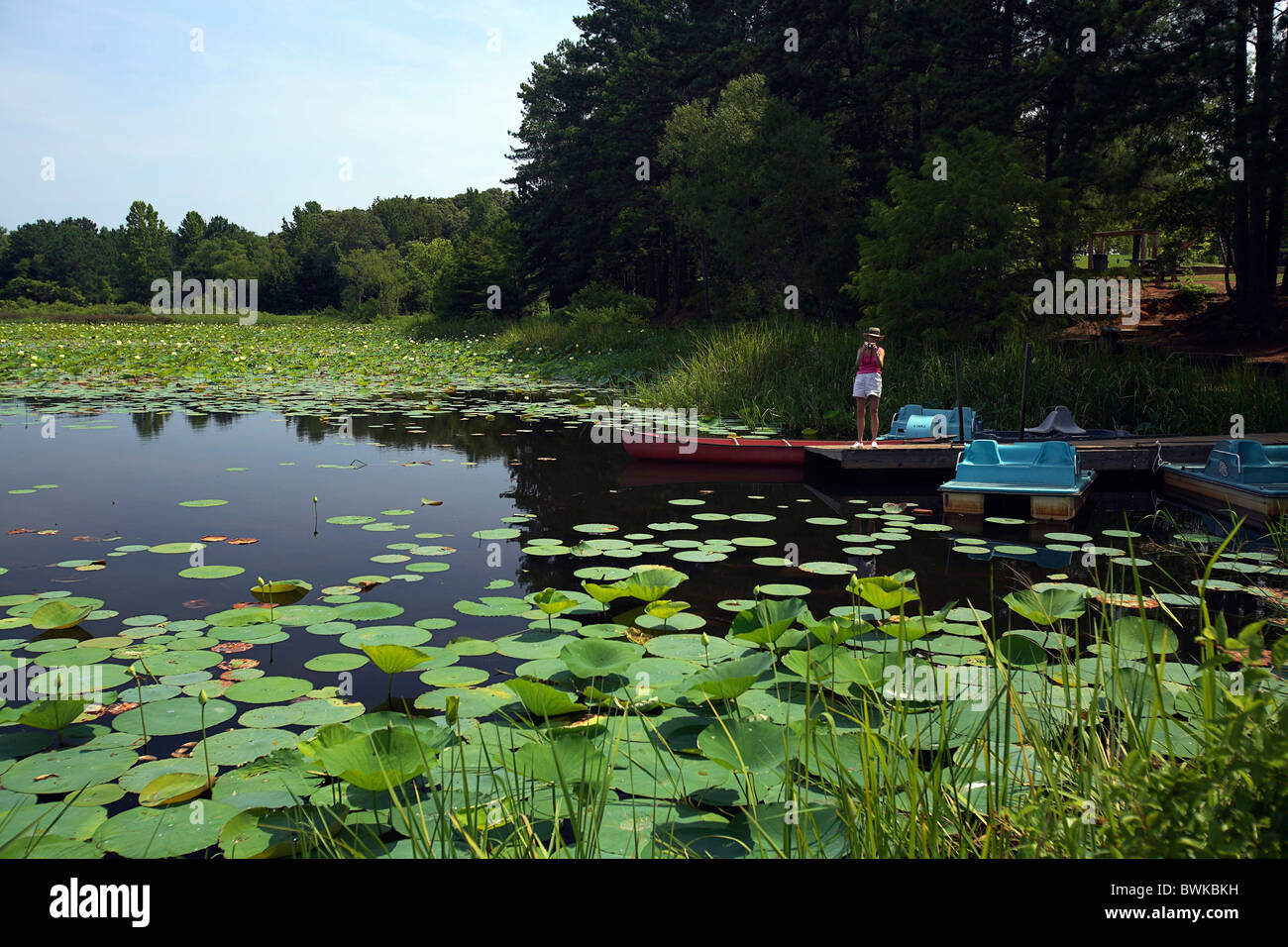 10823775 hires stock photography and images Alamy
