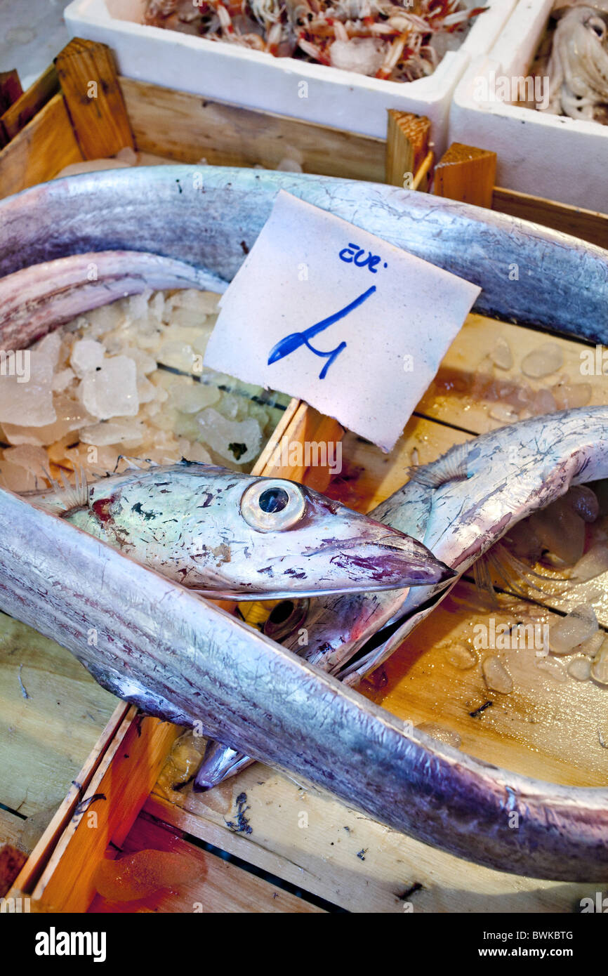 Fish, Market, Mercato di Ballaró, Palermo, Sicily, Italy Stock Photo