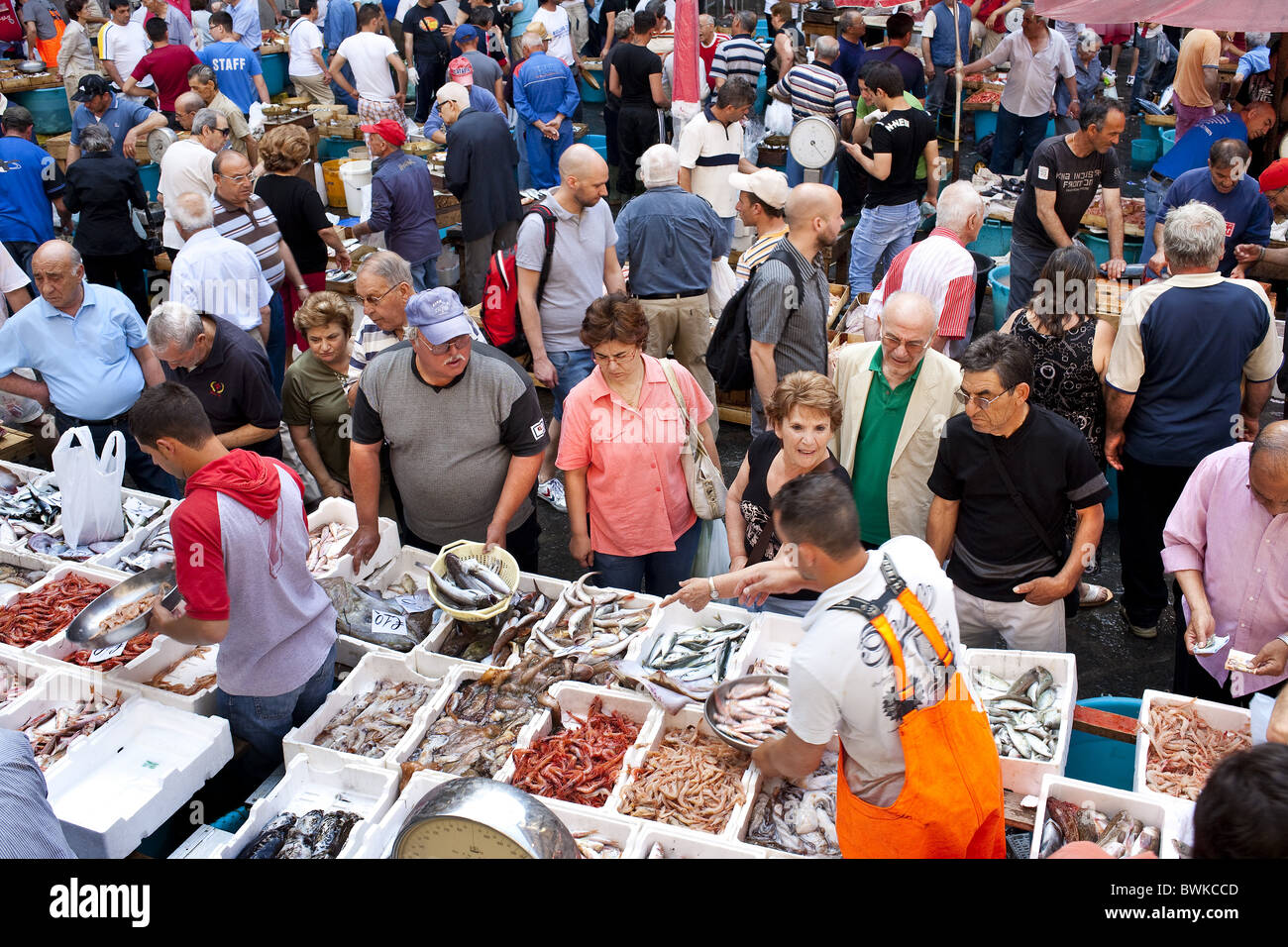 Fish market, Catania, Sicily, Italy Stock Photo Alamy