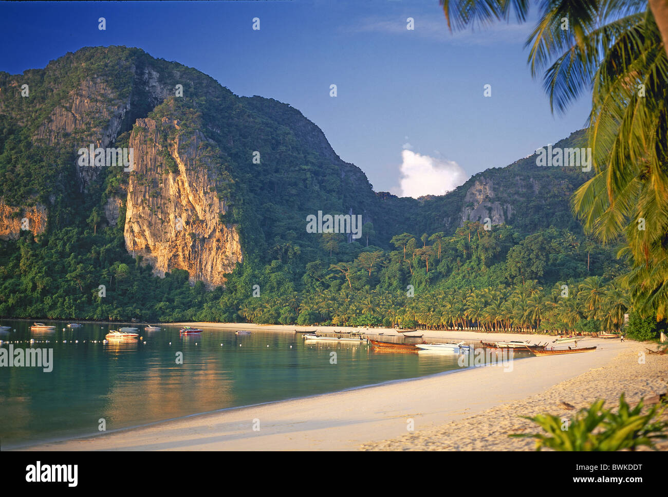 Thailand Asia Krabi province island isle Phi Phi Don beach seashore scenery landscape sandy beach coast se Stock Photo