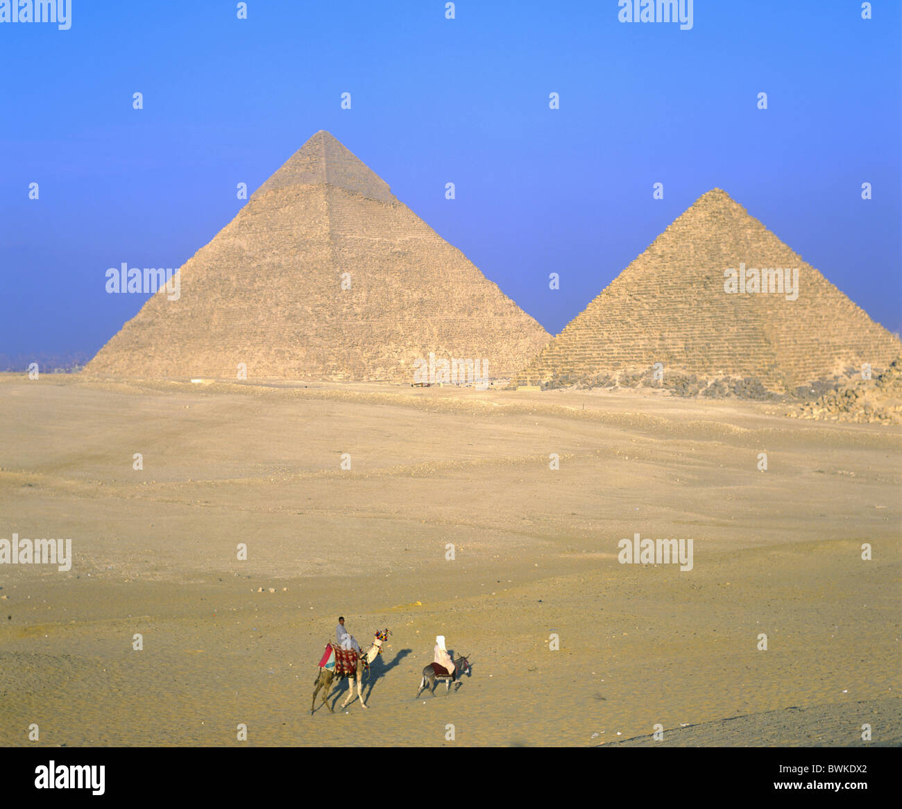 Egypt North Africa Gizeh pyramids riders camels camel riders desert ...