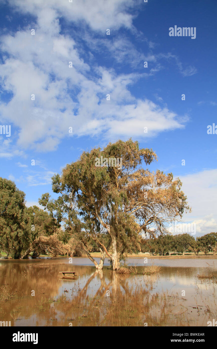 Israel, Sharon region, the rain pool in Netanya Stock Photo