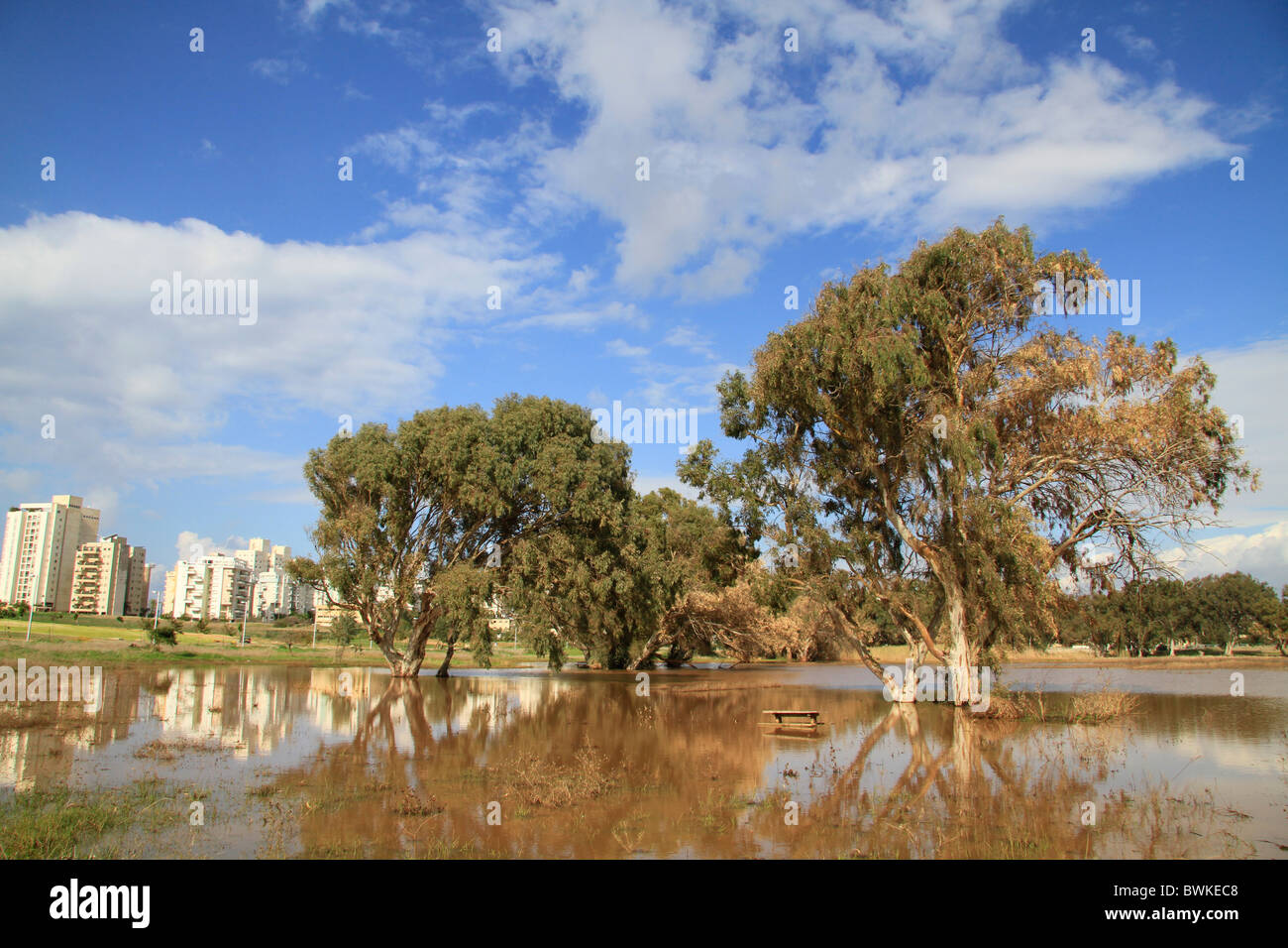 Israel, Sharon region, the rain pool in Netanya Stock Photo