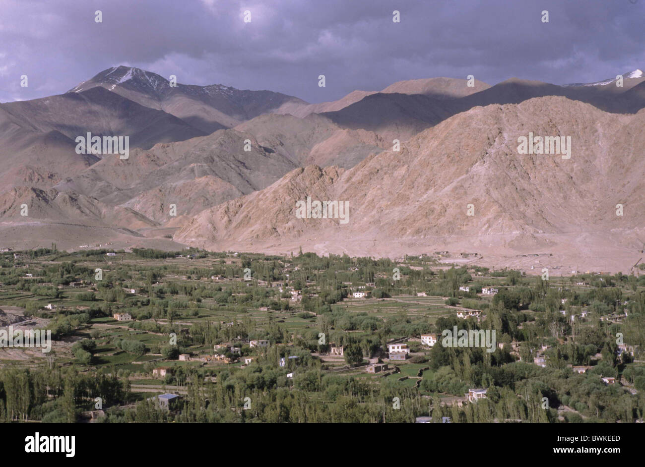 Leh overview mountains plateau agriculture Ladakh India Jammu and Kashmir Stock Photo Alamy