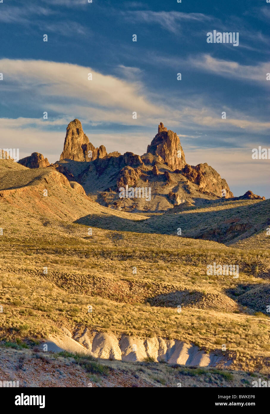 Mule Ears Peaks at sunset, Chihuahuan Desert in Big Bend National Park, Texas, USA Stock Photo
