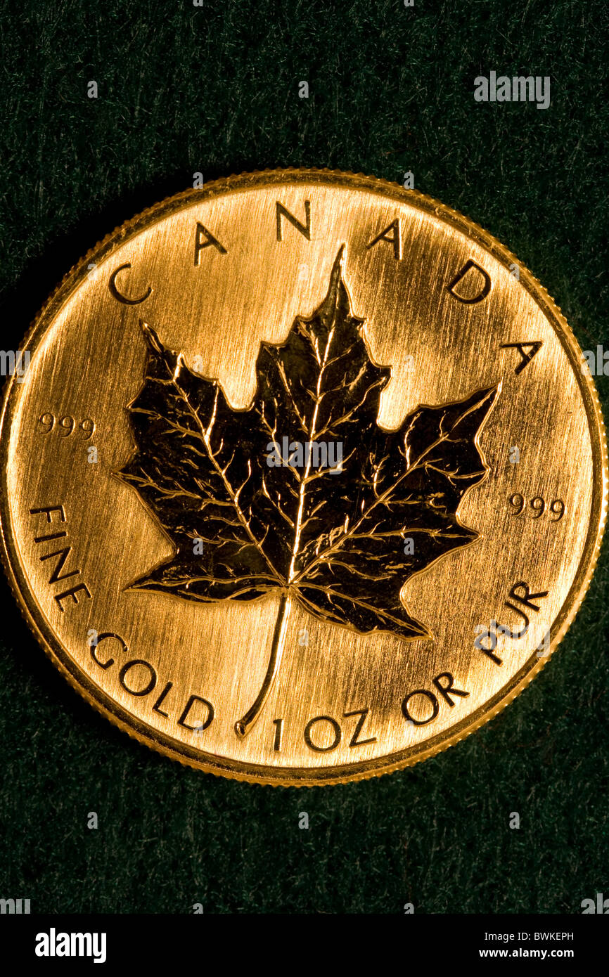 One Ounce Gold Canadian Maple Leaf Bullion Coin Stock Photo