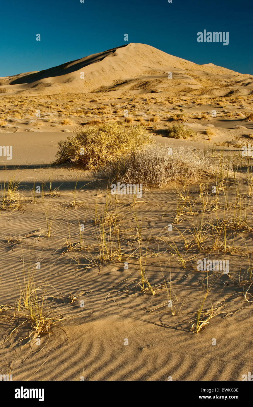 Kelso Dunes at sunrise, Mojave National Preserve, California, USA Stock Photo