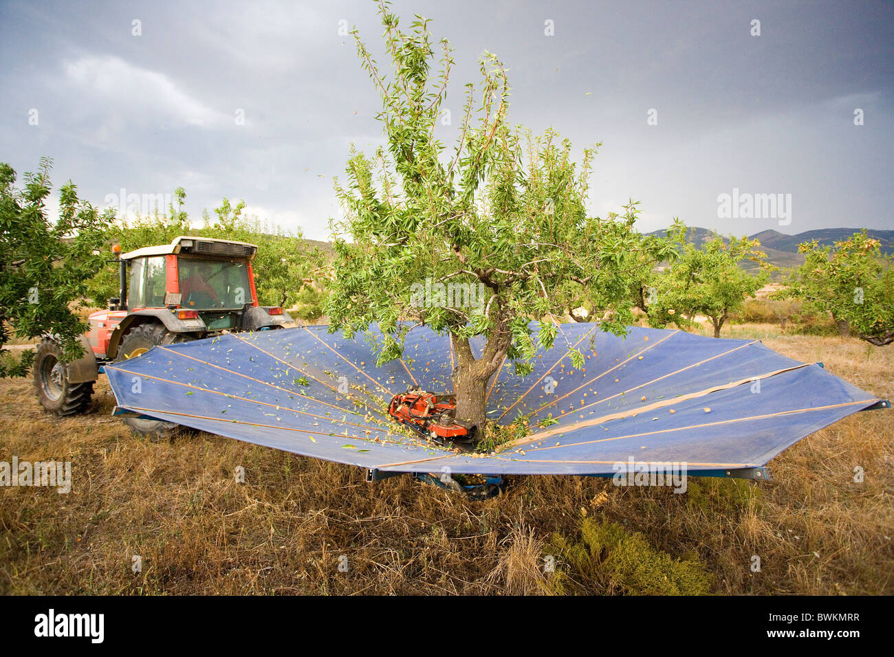Spain Europe Aragon province Huesca province agriculture harvest crop