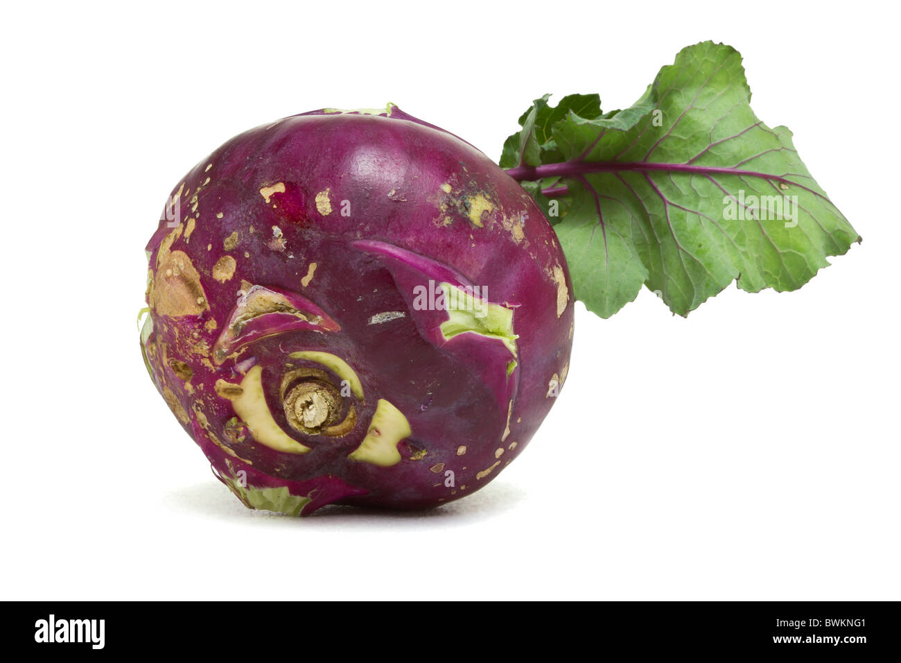 Purple German Turnip with leaf from low perspective isolated on white. Stock Photo