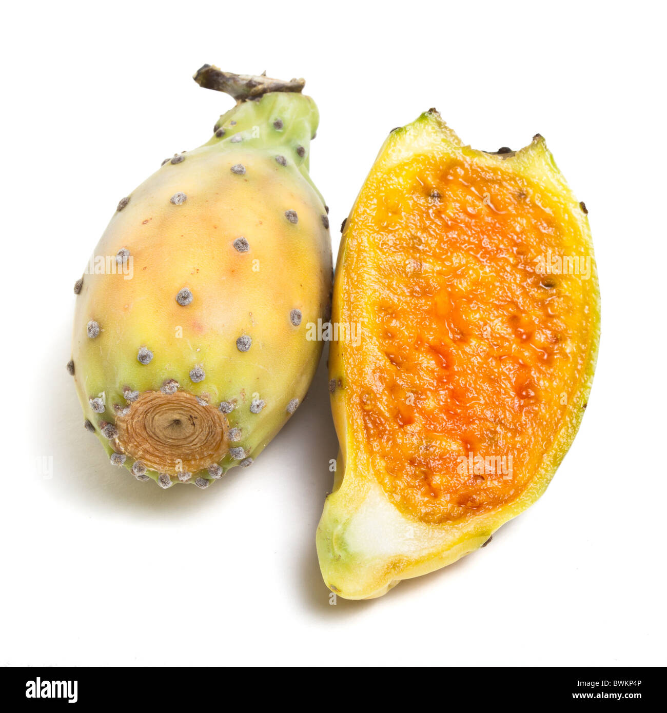 Prickly Pear from low perspective isolated on white background. Stock Photo