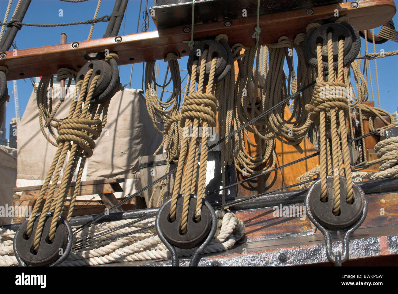 sydney ropes