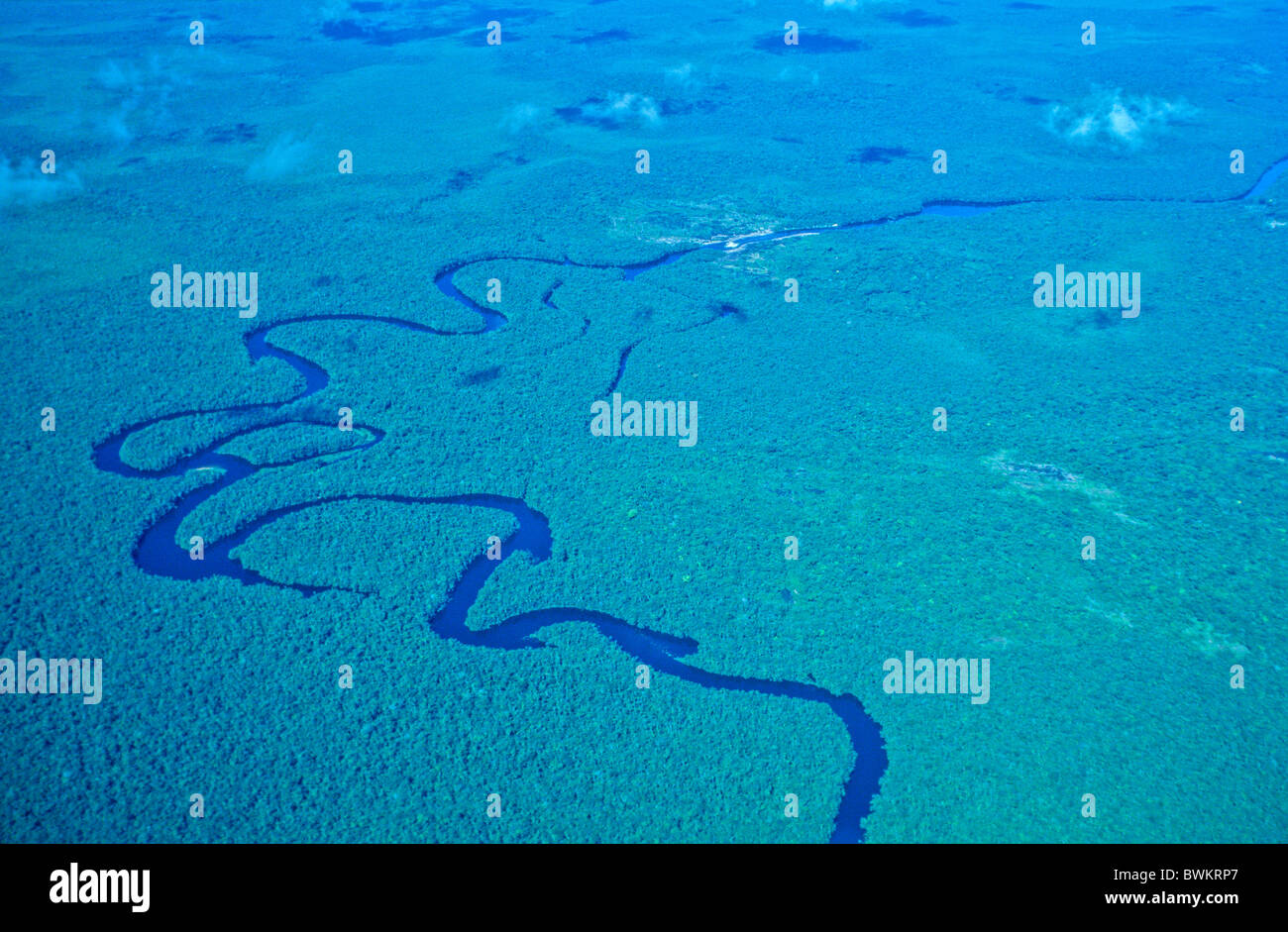 Venezuela South America Amazon Forest Aerial view Meander Tropical