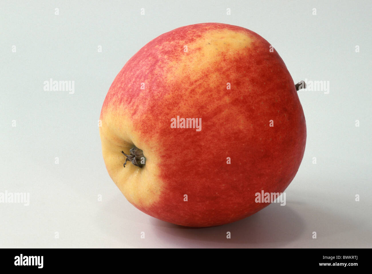 Domestic Apple (Malus domestica), variety: Falstaff, fruit, studio picture. Stock Photo