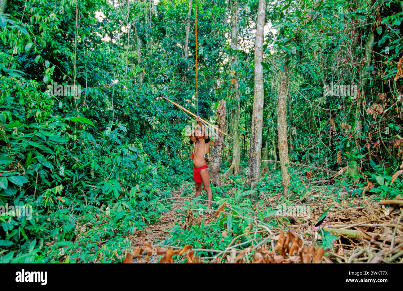 Venezuela South America Yanomami Ironavi Tribe Indios Hunter Bow Arrow Men Man Archers Archer Hunting Hun Stock Photo