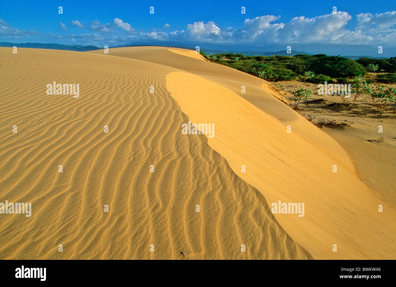 Venezuela South America Coro Parque Nacional Medanos De Coro Sand dunes