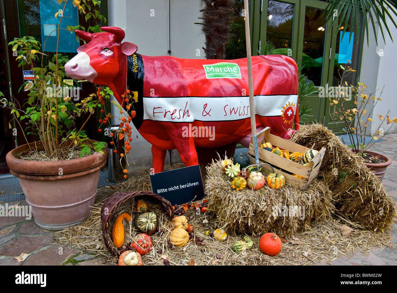 Red fiberglass cow in farm display with variety of squashes in front of Marche Restaurant Leipzig Zoological Gardens Stock Photo