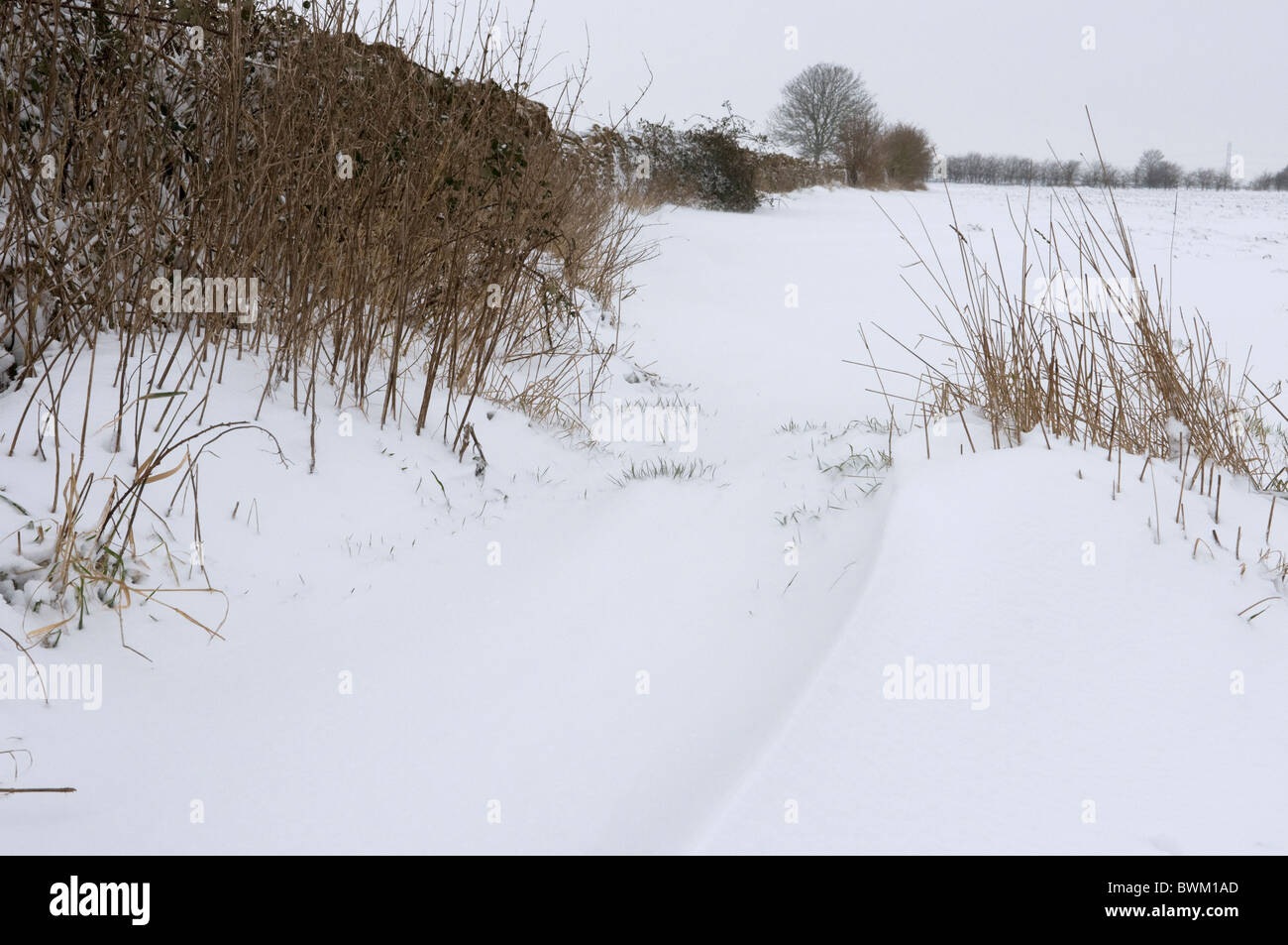 Winter landscape after a heavy snowfall, Wiltshire, UK Stock Photo