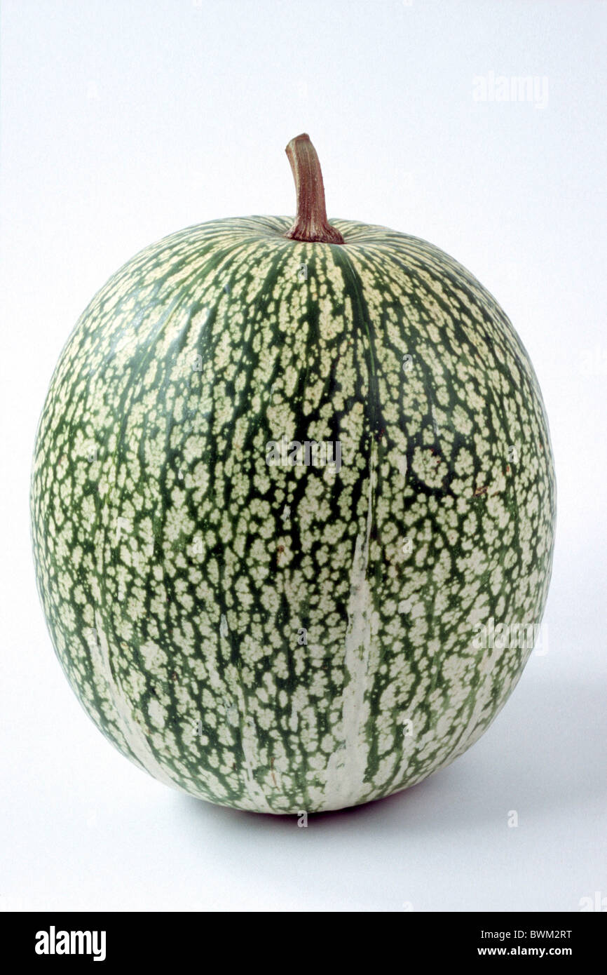 Malabar Squash, Malabar Gourd (Cucurbita ficifolia), studio picture. Stock Photo