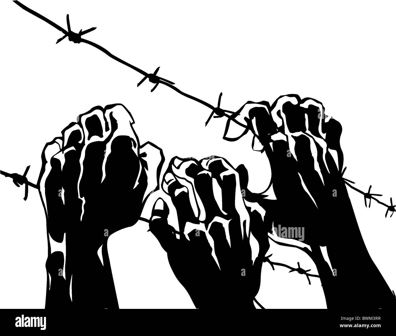 vector silhouette of the barbed wire on white background Stock Photo ...