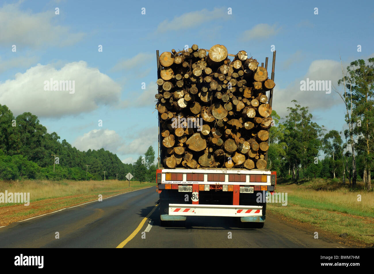 Argentina South America Truck loaded logs near Yapeyu Corrientes South America transport transportation stre Stock Photo