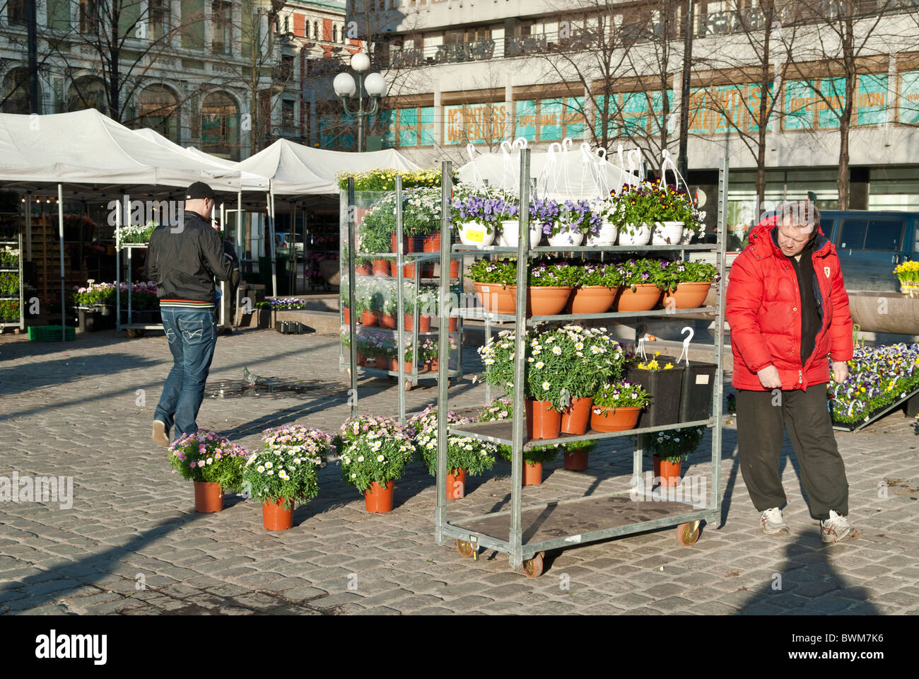 Stortorvet flower market Oslo Norway Stock Photo Alamy