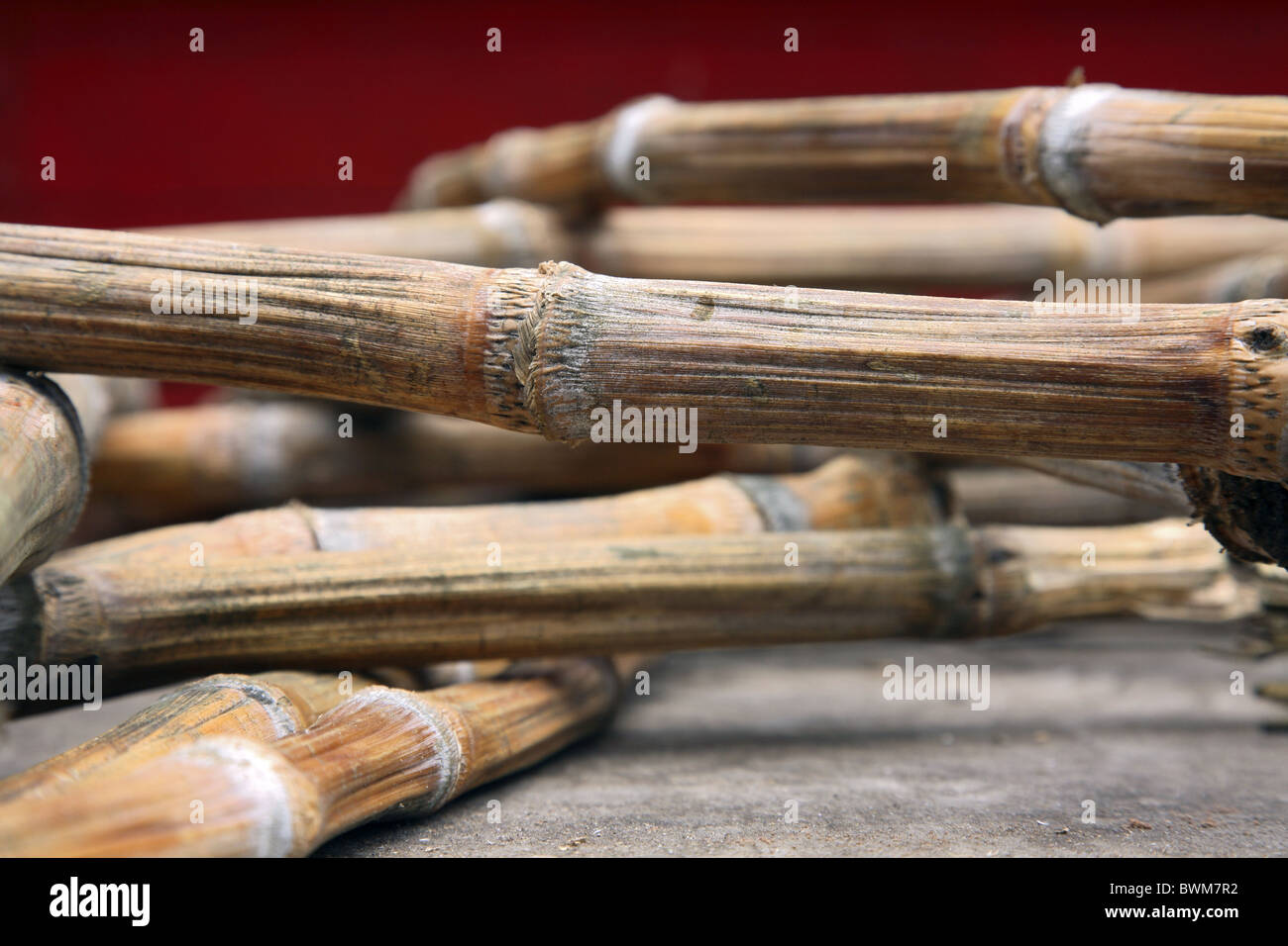 Dried sugar cane Stock Photo Alamy
