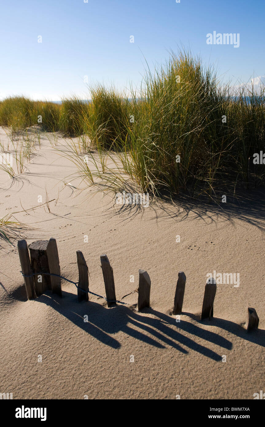 A collapsing fence on a sand dune, buried by sand. Stock Photo