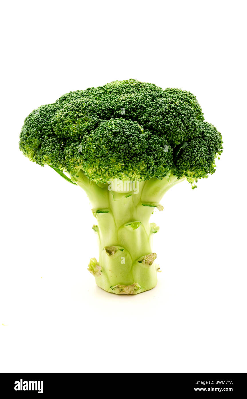 Calabrese broccoli on a white background Stock Photo