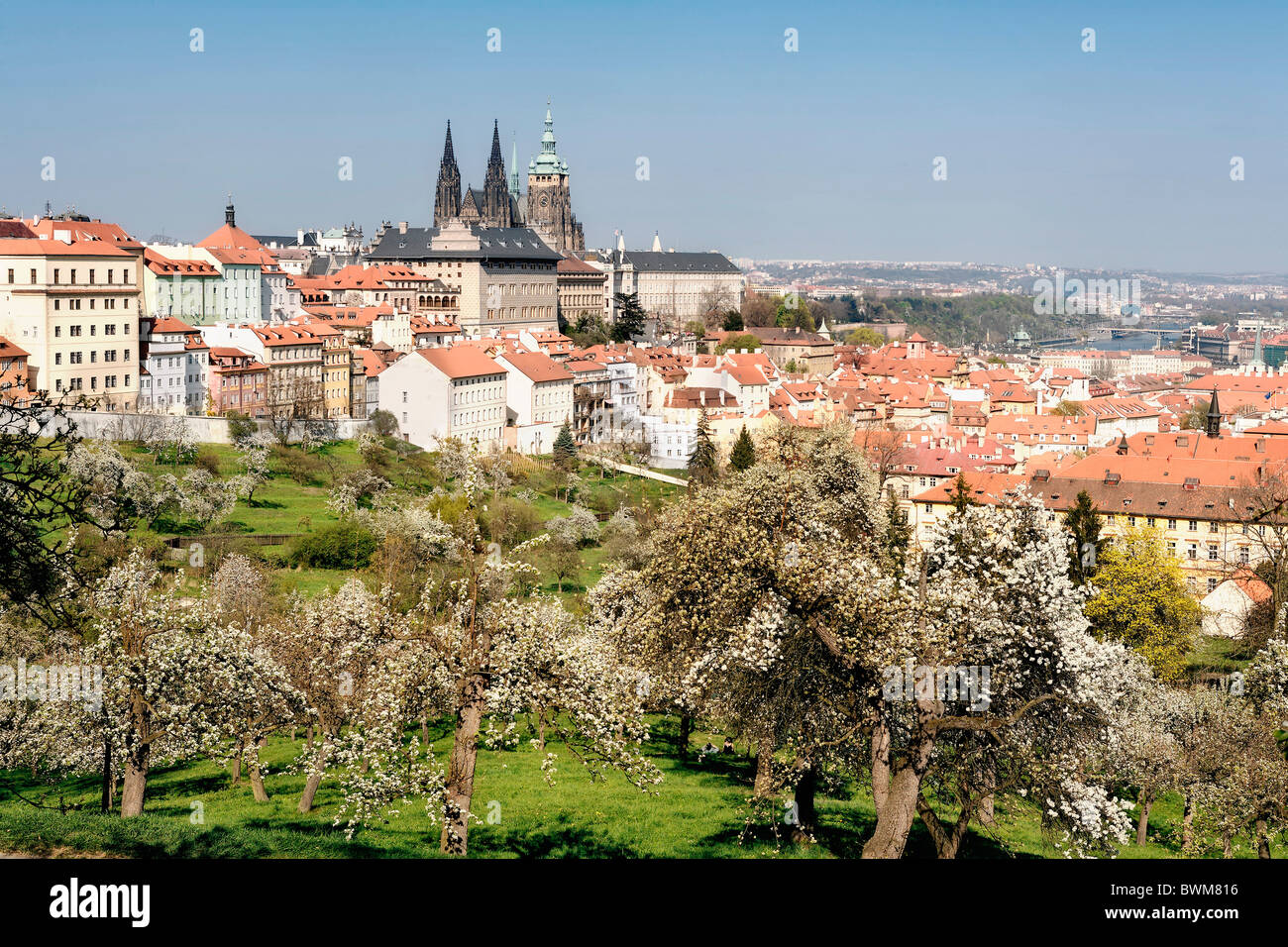 Prague Czech Republic Bloom Blooming Blossom Blossoming castle Cities City Cityscape Cityscapes Color Colo Stock Photo