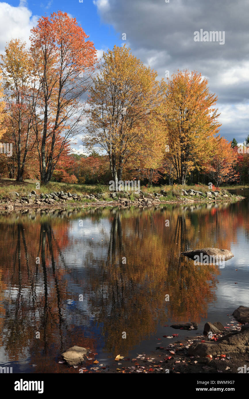 Trees reflected within the Turning Mill Pond, Canterbury Shaker Village