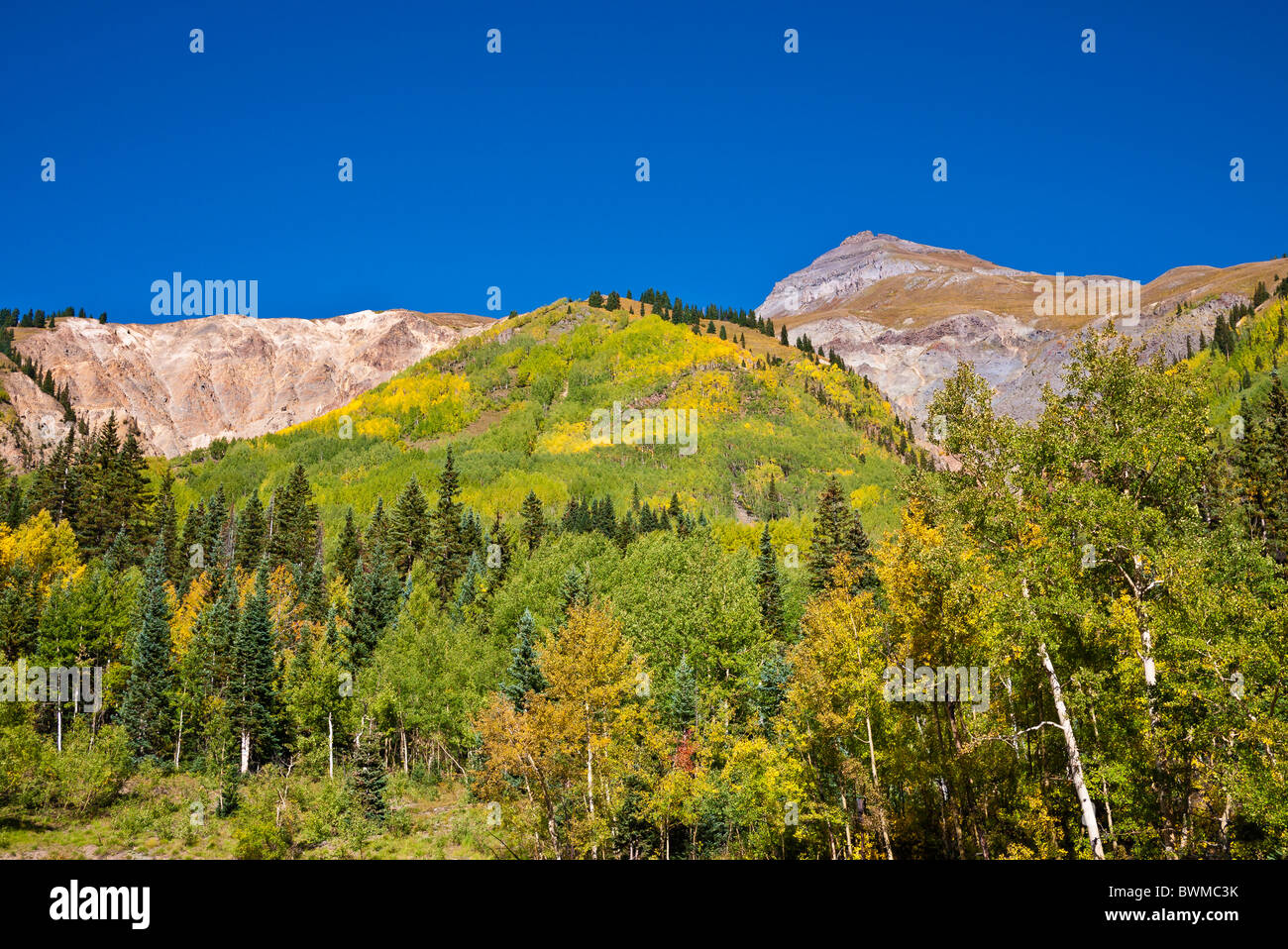 San juan national forests hi-res stock photography and images - Alamy