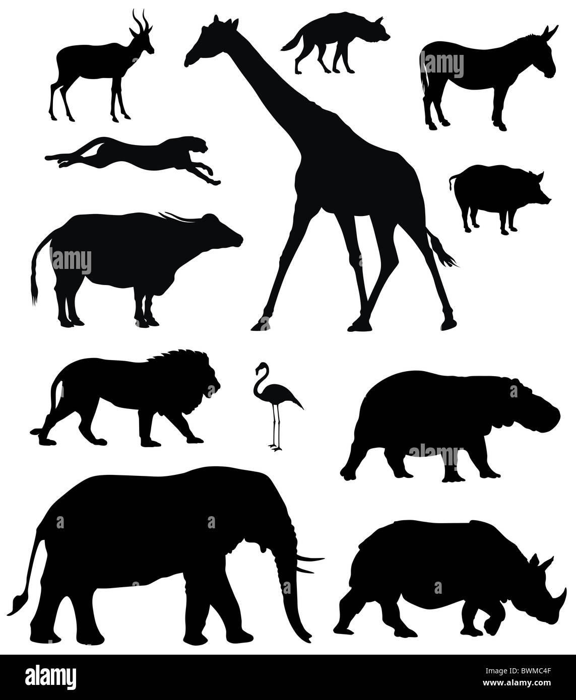 Cheetah illustration Cut Out Stock Images & Pictures - Page 2 - Alamy Cheetah illustration Cut Out Stock Images & Pictures - Page 2 - Alamy